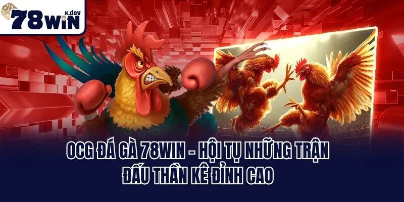 OCG Đá Gà 78win - Hội Tụ Những Trận Đấu Thần Kê Đỉnh Cao 2 OCG Đá Gà 78win - Hội Tụ Những Trận Đấu Thần Kê Đỉnh Cao